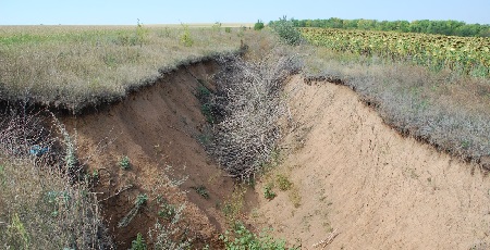 File:Earth bank gully.jpg