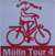 File:Osm lauenburg moelln tour4.png