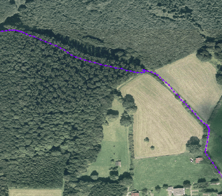 File:GPS error in forest.png