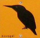 File:Wanderwegsymbol Eisvogel (NP Bayerischer Wald).PNG