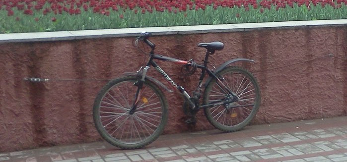 File:Bicycle parking rope.jpg