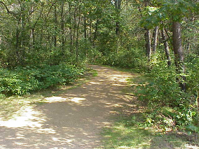 File:Gravel-forest-path.jpg