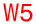 W5 .png