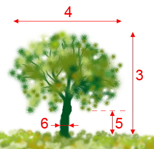 File:Treeparametersdescription.jpg