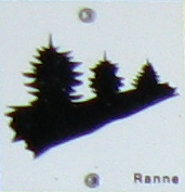 File:Wanderwegsymbol Ranne (NP Bayerischer Wald).PNG