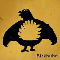 File:Wanderwegsymbol Birkhuhn (NP Bayerischer Wald).PNG