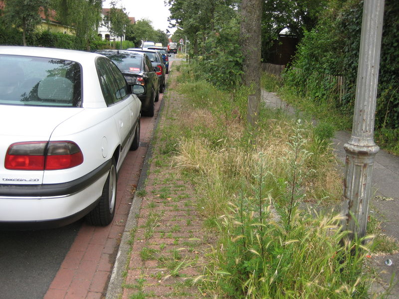 File:Bremen street with cycleway and sidewalk 3.jpg