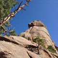 Präkambrischer Granit am Gipfel von "The Castle" in der Nähe des Wellington Lake, Colorado, USA.