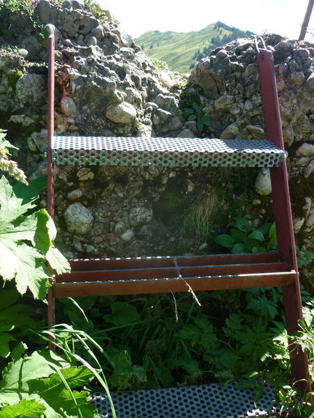 File:Hiking ladder1.jpg