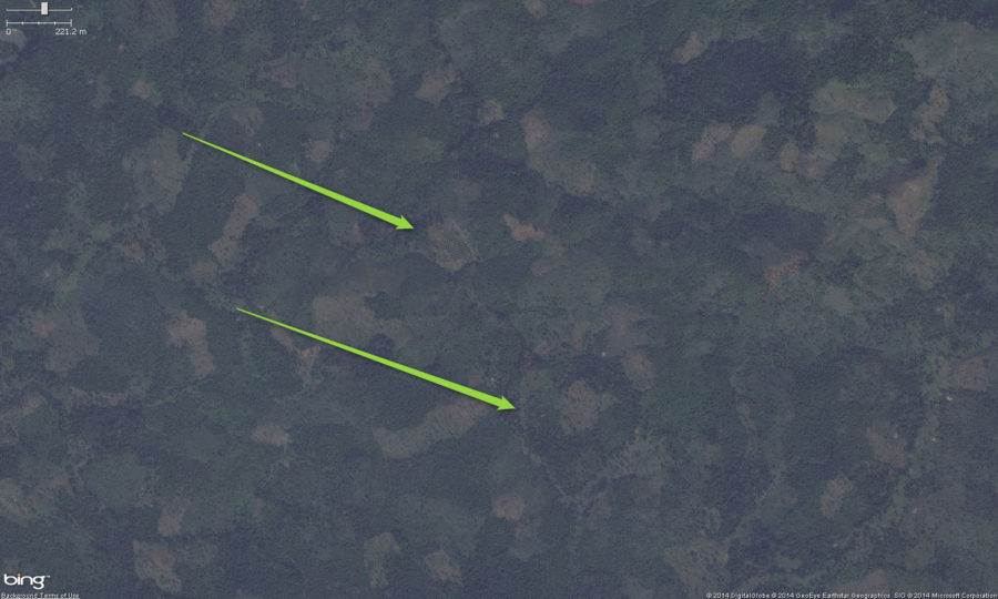 This is the zoomed out view of 2 small palm orchards in West Africa. The main feature to look for, especially zoomed out is a pattern of very regularly spaced trees. Zooming in will confirm if it is a palm orchard or not. These should get tagged with landuse=orchard. Optionally you can put the species=palm tag on them as well.