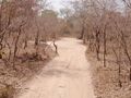Road through undeveloped land in Ghana 80253923 80253923