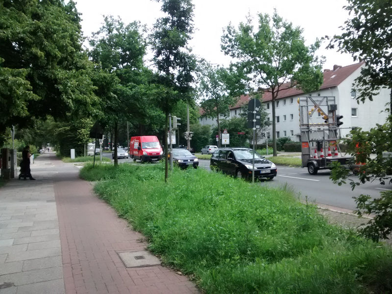 File:Bremen street with cycleway seperate way .jpg