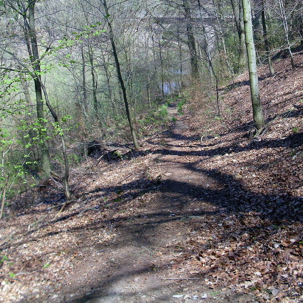 File:Wanderweg (path) am Tännichgrund der Talsperre Malter.jpg