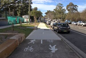 Shared Path Paint Pictograms.jpg