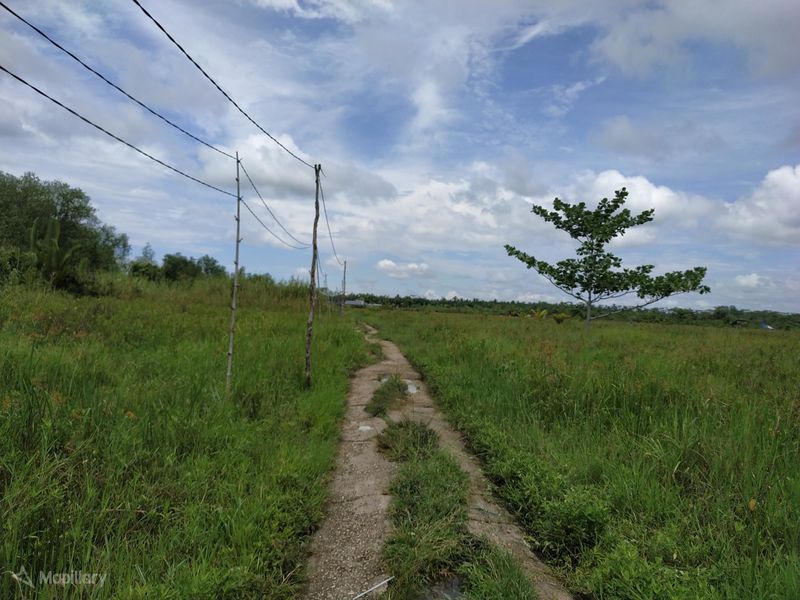 File:Path Desa Tembilahan Kabupaten Indragiri Hilir.jpg