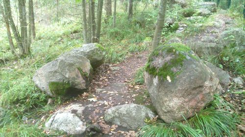 Trail-Example-Trail-and-stones.jpg