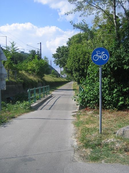 File:Path-bicycledesignated.jpg
