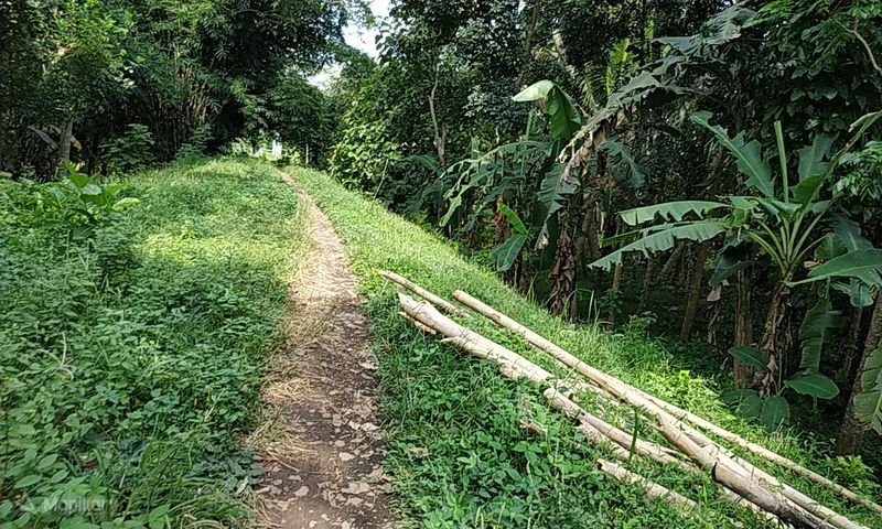 File:Path - Kec. Majenang Kab. Cilacap.jpg