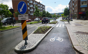 Picture of a protective traffic calming island between cycle lane and street.