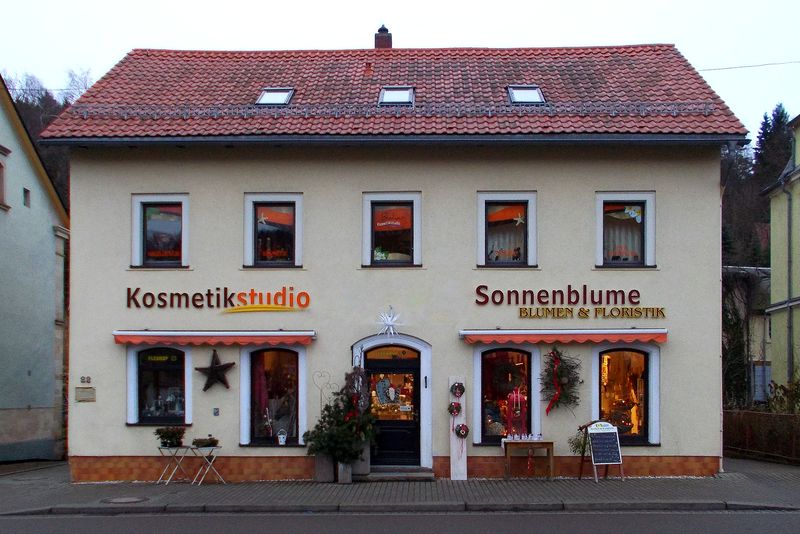 File:2014 Schmiedeberg Baharia und Sonnenblume.jpg