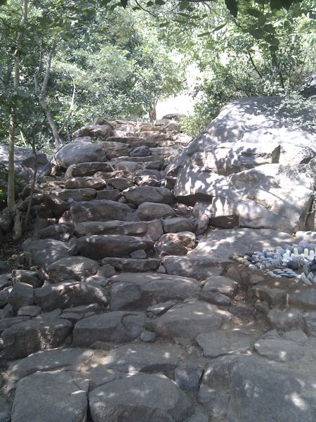 File:Steps on mountain trail.jpg