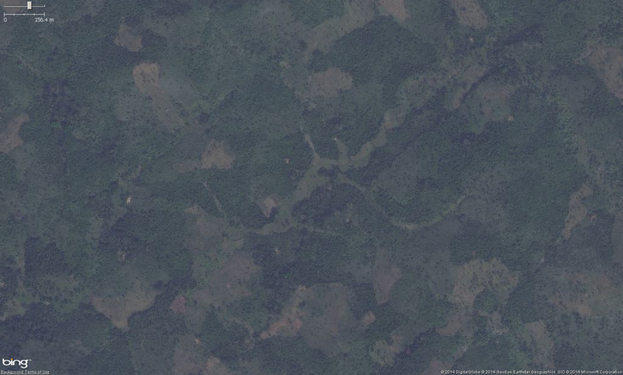 This is a zoomed out view of typical small scale rice farming. You can see the lighter colored green vegitation, formed from the watershed drainage area. Small scale row crops and rice paddies are often planted in these flood plane areas. Zooming in to check might reveal obvious rice paddies or row crops.