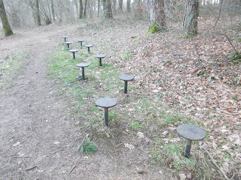 File:Fitness station stepping stone.jpg