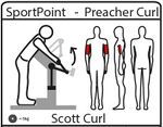 Preacher curl-pictogram.jpg