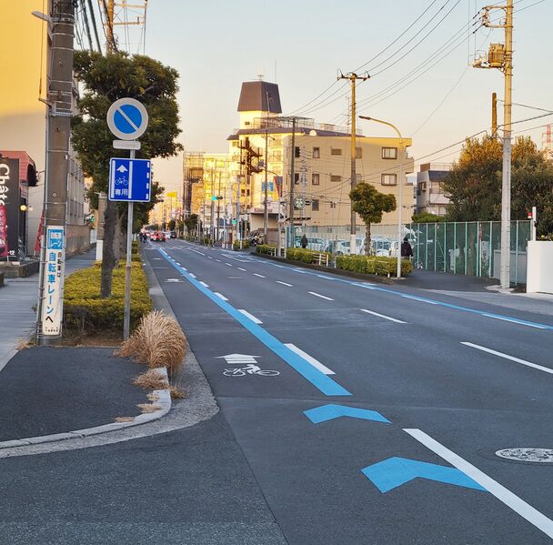 File:Bicycle lane on Niihama dori Ichikawa Japan.jpg