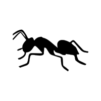 File:Ant black white.svg
