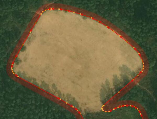 Splinex place in forest after generalization factor 25cm.JPG