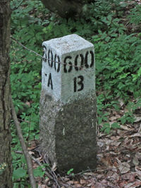 Białowieża Forest Compartment Marker.jpg