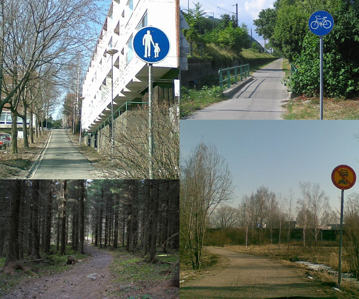 File:Path example collage.png