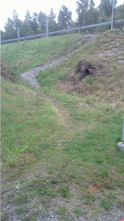 Trail-Example-Shortcut-down-from-bridge.jpg