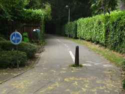 Belgium road segregatedfootandcycleway.jpg