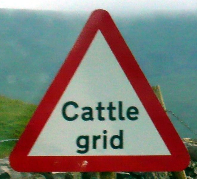 File:UK CattleGrid.JPG