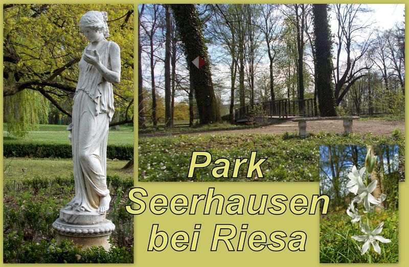 File:2014 Park Seerhausen bei Riesa.jpg