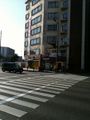 点字ブロックが付いた日本の横断歩道です。