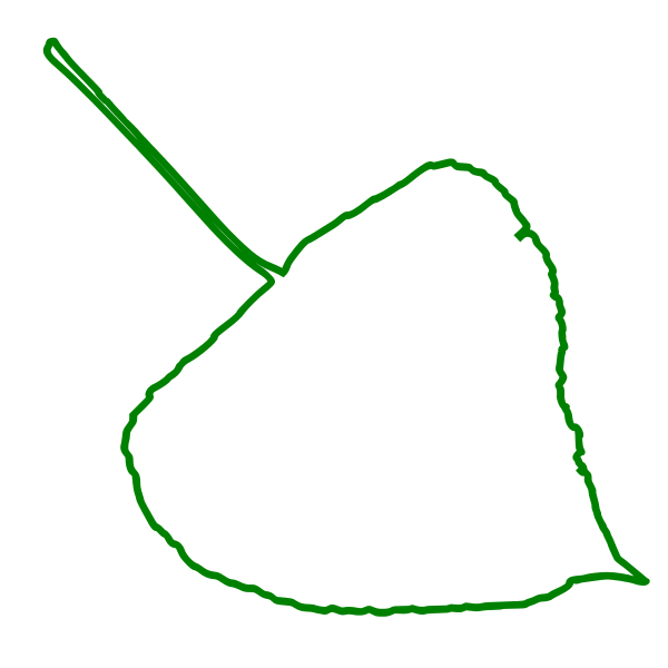 File:Hybrid Black Poplar leaf-1024px.svg