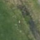 Fluxys pole aerial imagery.png