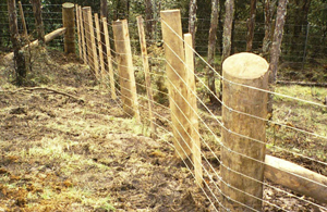 File:Fence.png