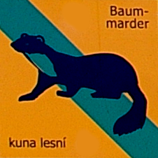 File:Wanderwegsymbol Baummarder (NP Bayerischer Wald Šumava).PNG