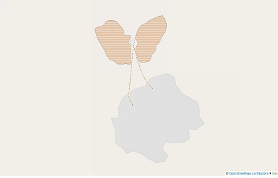 Niger butterfly near Mondolo.jpg