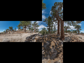 File:Cubemap forest.png