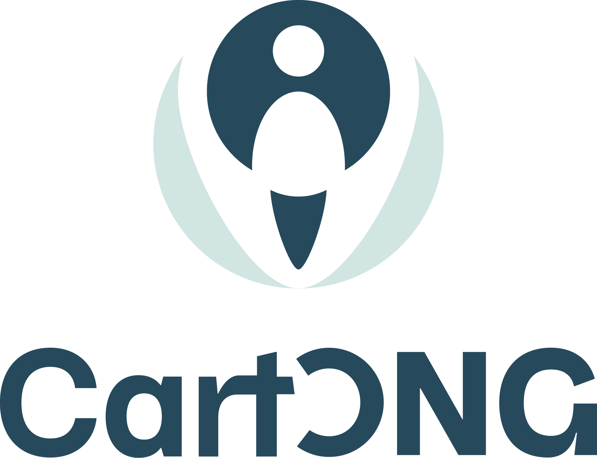 File:CartONG logo.png