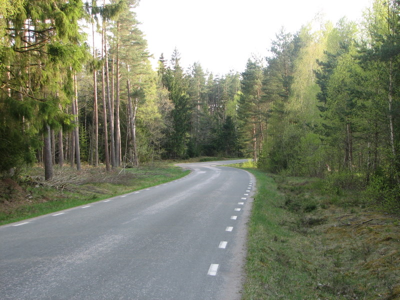 File:Road in Sweden at Ugglum.jpg