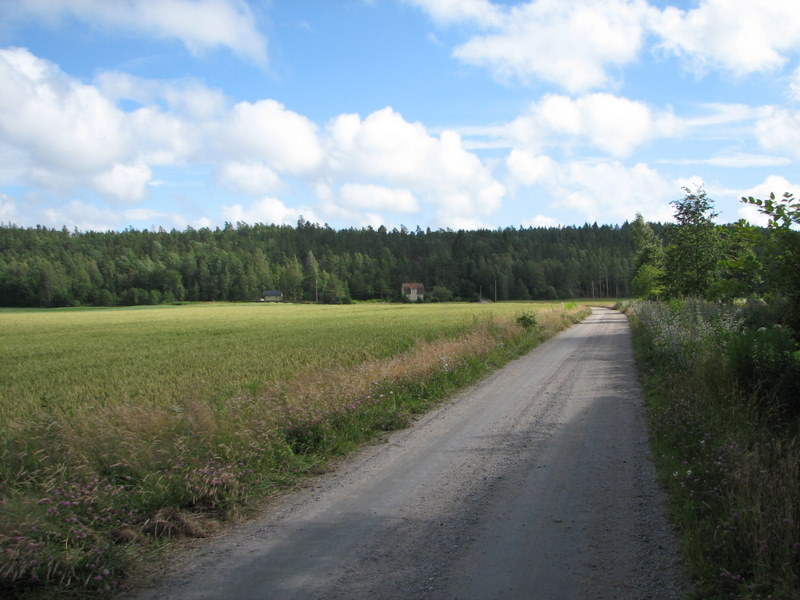File:Road in Sweden unnumbered.jpg