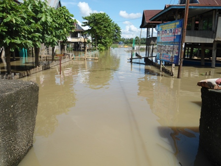 File:Lokasi Banjir Kelurahan Salomenraleng Kec. Tempe.jpg