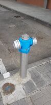 2 couplings on one fire hydrant