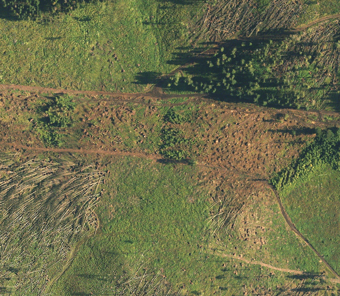 File:Clearcut .png